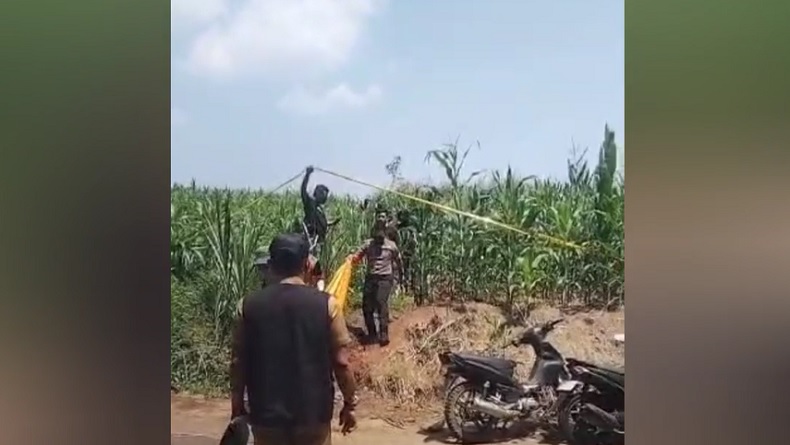 Olah TKP Mayat Pria di Kebun Jagung Jombang, Polisi Temukan HP dari Saku Korban
