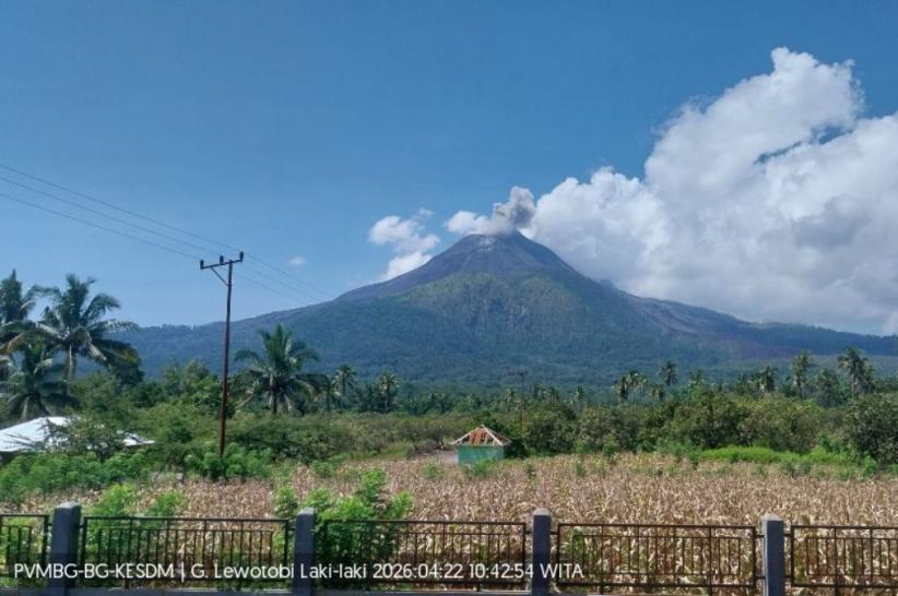 Gunung Lewotobi Laki-laki di NTT Erupsi, Muntahkan Abu Vulkanis Setinggi 300 Meter