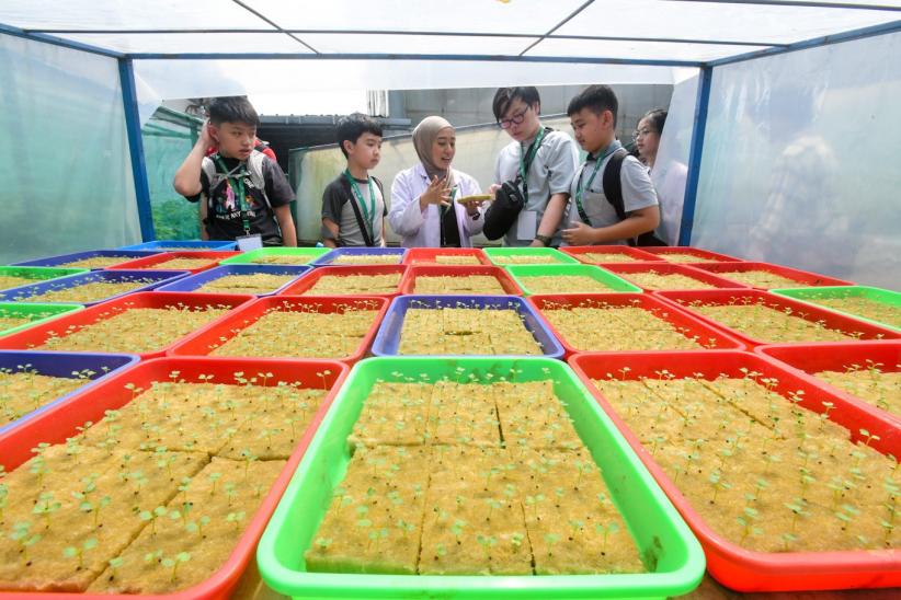 Belajar Sistem Pertanian Hidroponik Sejak Dini - Bagian 4