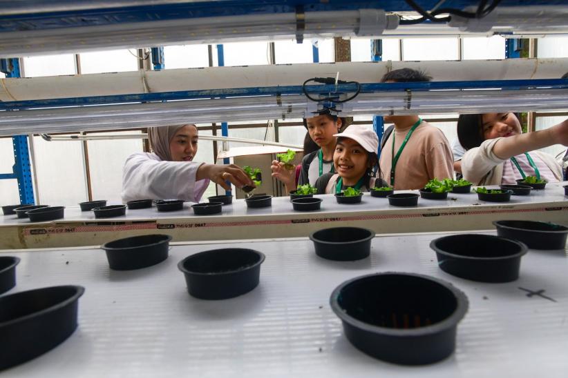 Belajar Sistem Pertanian Hidroponik Sejak Dini - Bagian 3