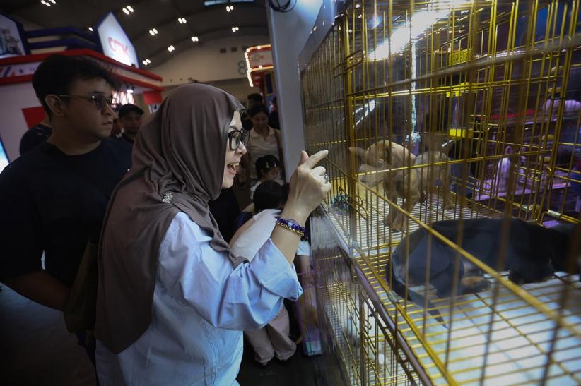 PetFest Indonesia 2026 Hadirkan Petropolis, Kota Imajinatif untuk Para Pecinta Hewan - Bagian 5