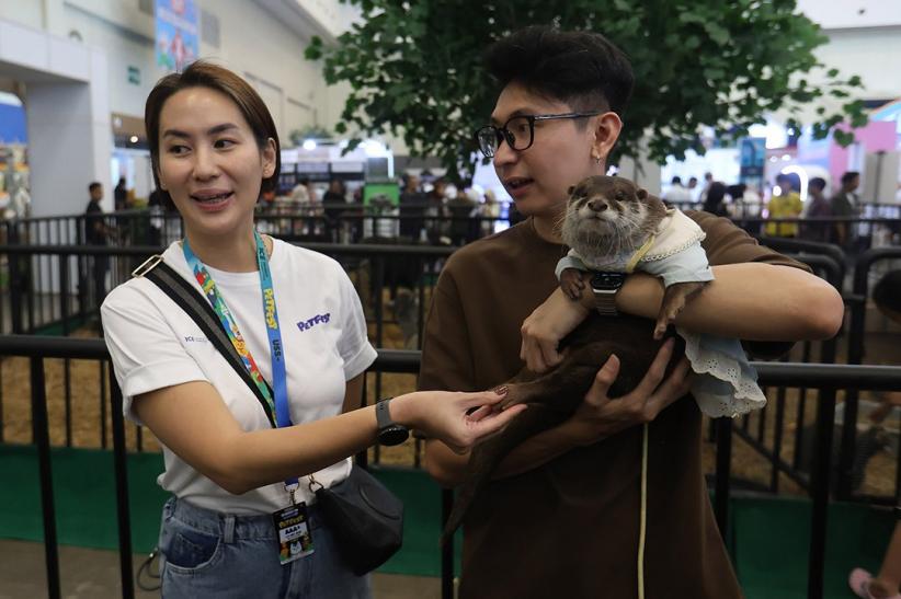 PetFest Indonesia 2026 Hadirkan Petropolis, Kota Imajinatif untuk Para Pecinta Hewan - Bagian 3