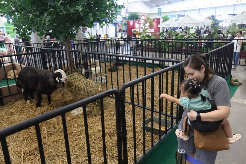 PetFest Indonesia 2026 Hadirkan Petropolis, Kota Imajinatif untuk Para Pecinta Hewan - Bagian 6