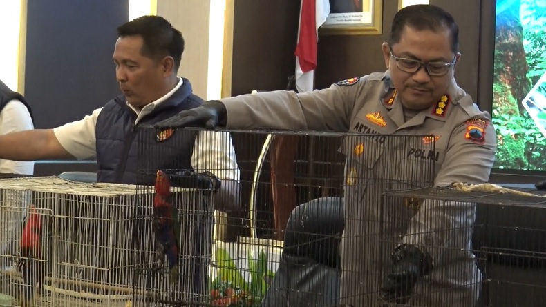 Terungkap Penyelundupan Burung Kasturi di Pati, Dijual Rp20-50 Juta per Ekor