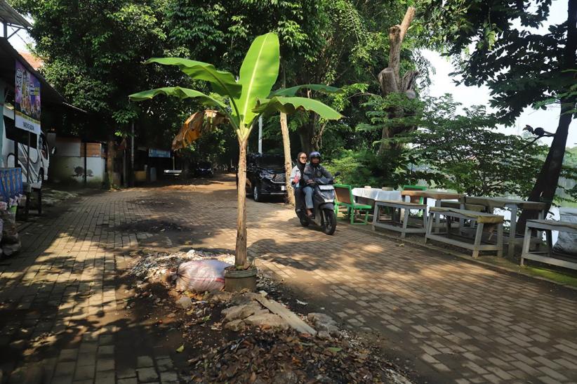 Rusak, Jalanan Setu Babakan Ditanam Pohon Pisang - Bagian 3