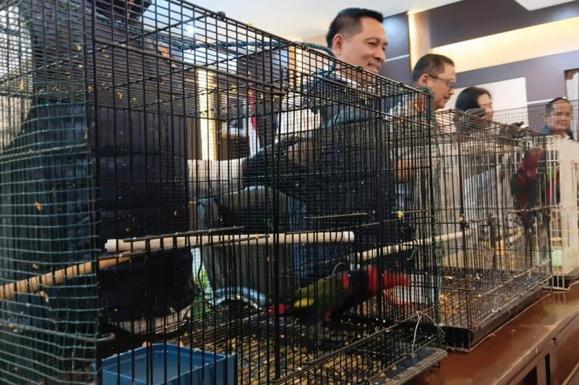 Penyelundupan 18 Burung Eksotis Asal Papua - Bagian 4