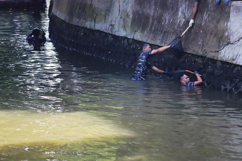 TNI AL Dikerahkan Bantu Basmi Ikan Sapu-Sapu - Bagian 3