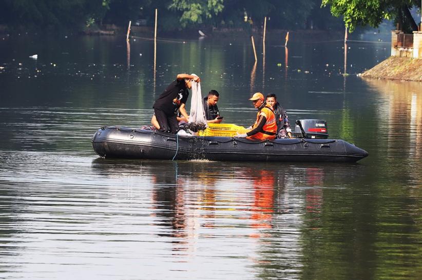 TNI AL Dikerahkan Bantu Basmi Ikan Sapu-Sapu - Bagian 4
