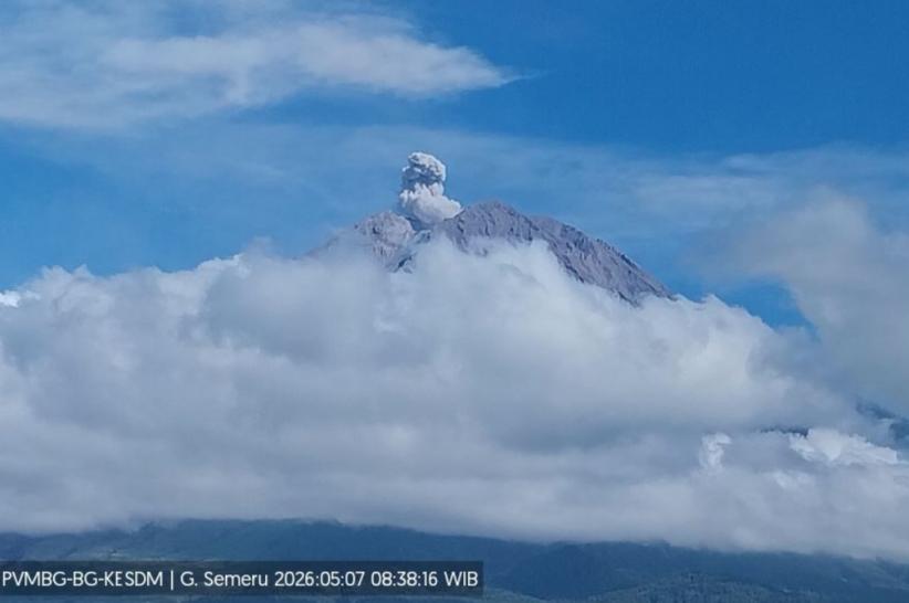 Gunung Semeru Meletus Pagi Ini, Kolom Abu Vulkanis Membubung 600 Meter