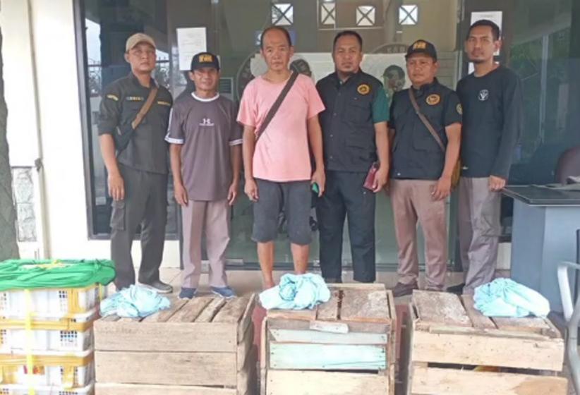 Penyelundupan Burung Maleo Digagalkan di Surabaya, Diduga Libatkan Oknum TNI