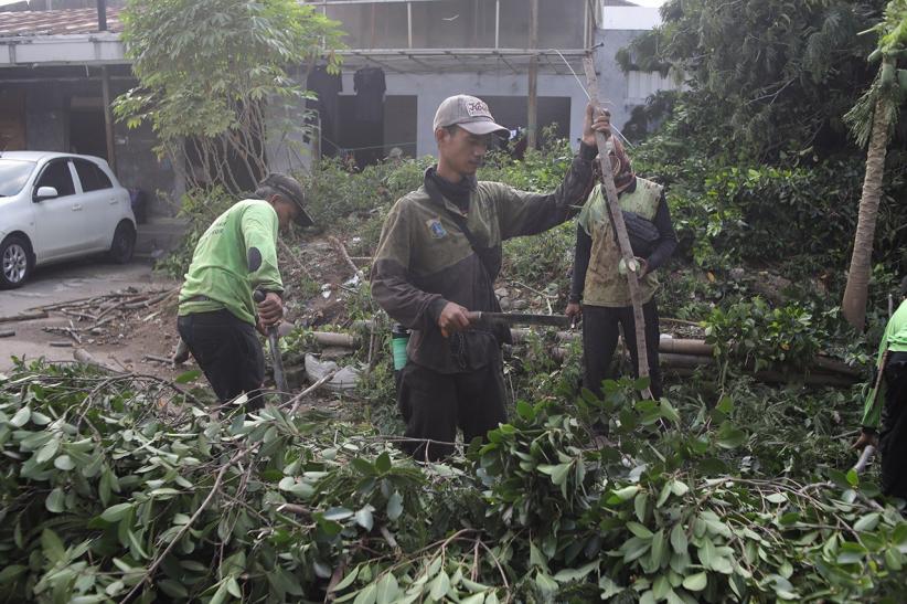Pohon Tumbang Timpa Warung di Rawamangun - Bagian 3