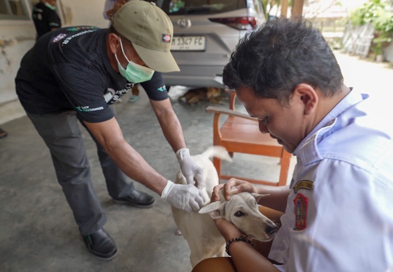 Pemprov Gorontalo Resmi Larang Perdagangan Daging Anjing dan Kucing - Bagian 3