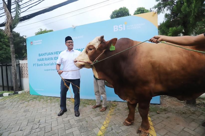 Naik 57 Persen, 24 Ribu Hewan Kurban Didistribusikan BSI - Bagian 1