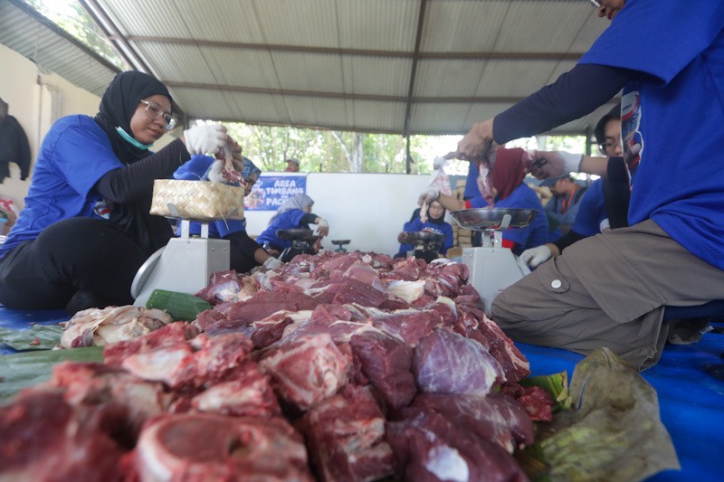 29 Ekor Sapi Kurban Dipotong untuk 3.000 Penerima Manfaat - Bagian 2