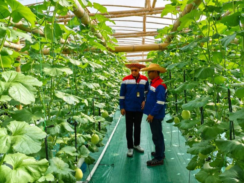 Penanaman 2.250 Pohon di 23 Kota, Perkuat Kontribusi Pengurangan Emisi Karbon - Bagian 3