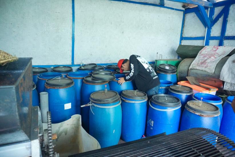 Dari Perut Bumi Kamojang, Kopi Arabika Menembus Pasar Asia dan Eropa - Bagian 4