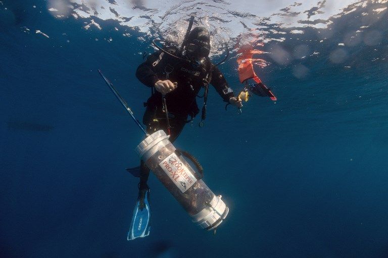 Ilmuwan Berburu Lionfish untuk Selamatkan Spesies Ikan Laut - Bagian 5