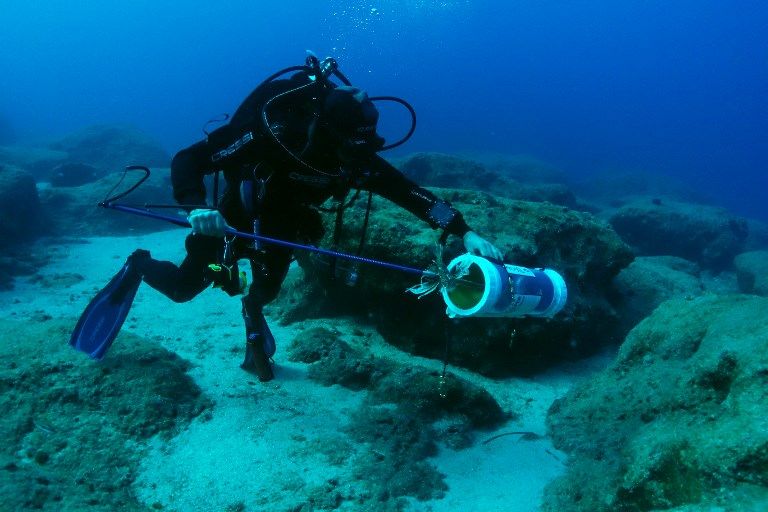 Ilmuwan Berburu Lionfish untuk Selamatkan Spesies Ikan Laut - Bagian 2