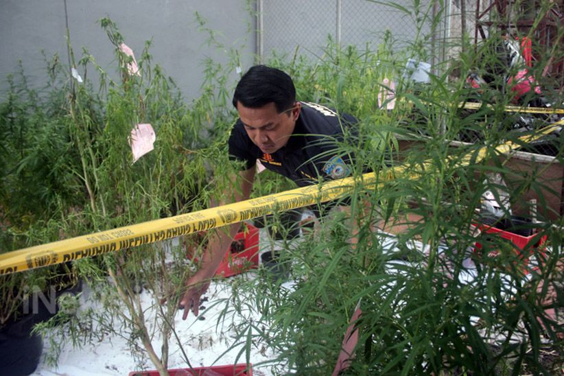 Satuan Reserse Narkoba Polres Malang Kota Ungkap Peredaran Ganja di Lapas - Bagian 4
