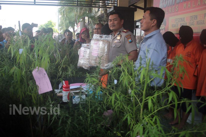 Satuan Reserse Narkoba Polres Malang Kota Ungkap Peredaran Ganja di Lapas - Bagian 1