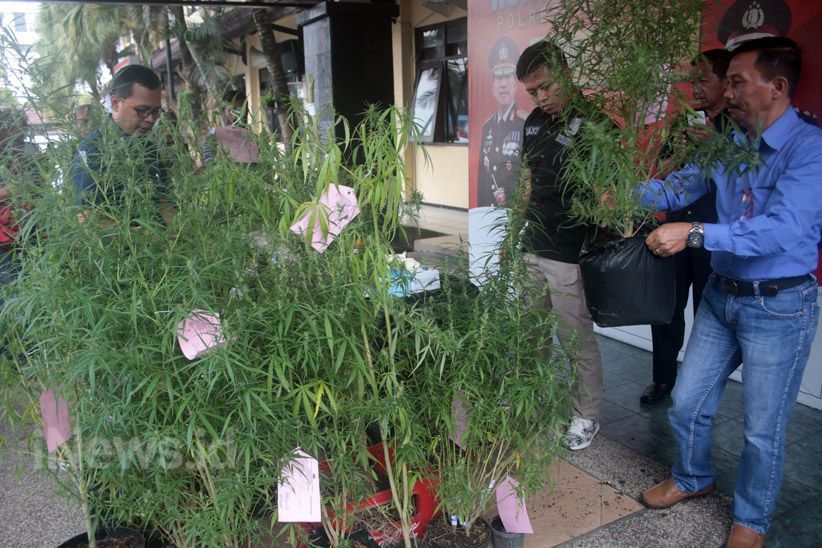 Satuan Reserse Narkoba Polres Malang Kota Ungkap Peredaran Ganja di Lapas - Bagian 3