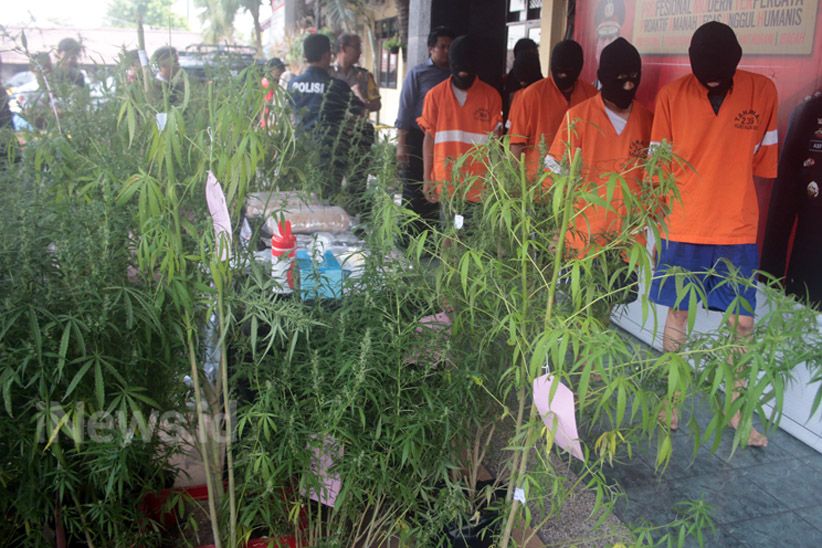 Satuan Reserse Narkoba Polres Malang Kota Ungkap Peredaran Ganja di Lapas - Bagian 2