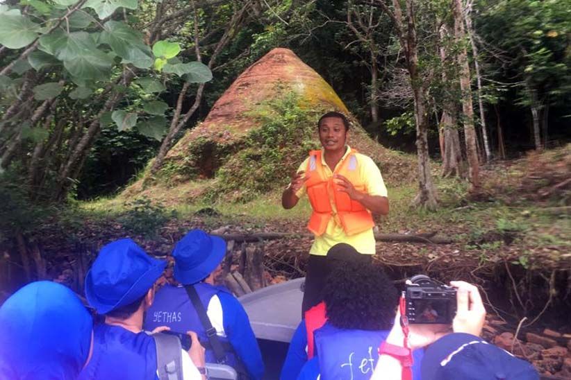 Jelajah Hutan Bakau Pulau Bintan - Bagian 4