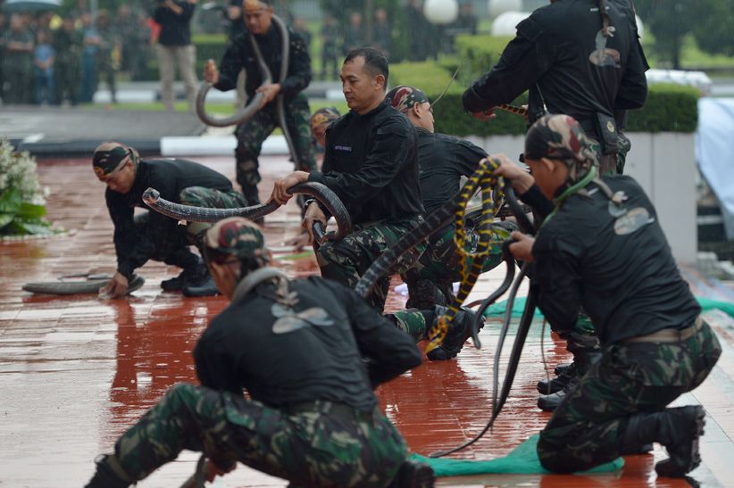 Aksi Prajurit TNI Unjuk Kemampuan di Depan Sultan Brunei - Bagian 2