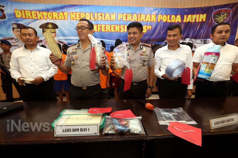 Ditpolairud Polda Jatim Gagalkan Penyelundupan 30.000 Ekor Bibit Lobster - Bagian 5