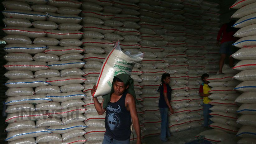 Bulog Sumut Borong 13.000 Ton Beras Petani dengan Harga Komersial