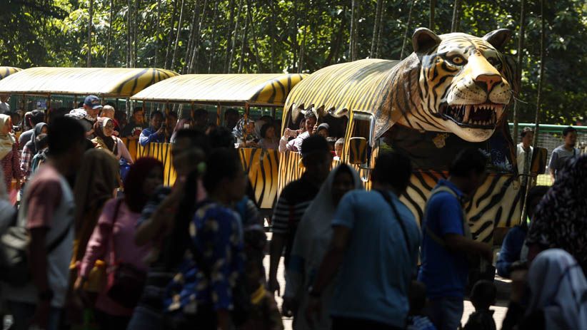 Jadi Tempat Wisata Favorit, Ragunan Dikunjungi Ribuan Orang - Bagian 4