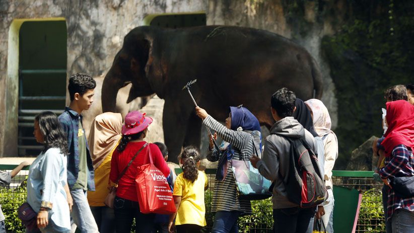 Jadi Tempat Wisata Favorit, Ragunan Dikunjungi Ribuan Orang - Bagian 3