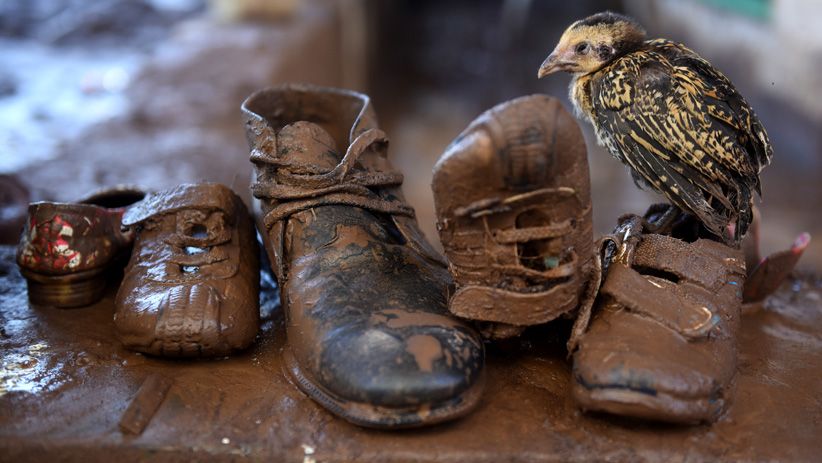 Foto-Foto Dampak Banjir Bandang di Banyuwangi, Ratusan Rumah Rusak - Bagian 13