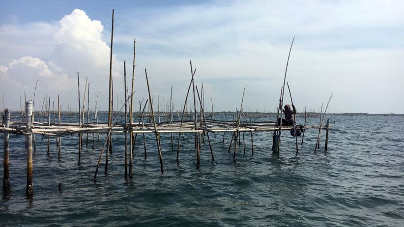 Pesona Kepulauan Seribu, dari Keindahan Alam hingga Spot Memancing - Bagian 5