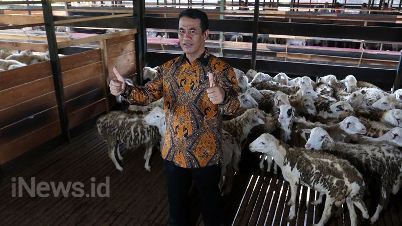 Indonesia Ekspor 60 Ribu Ekor Domba ke Malaysia - Bagian 2