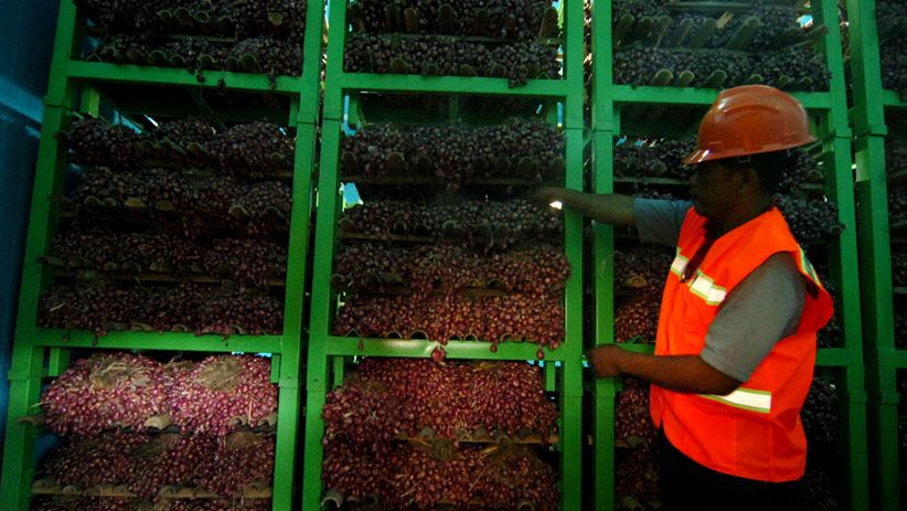 Baru Diresmikan, Gudang Ini Mampu Menyimpan 320 Ton Bawang Merah - Bagian 3