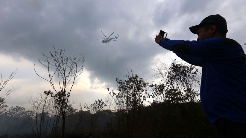 Perjuangan Petugas Memadamkan Kebakaran Lahan Gambut di Dumai - Bagian 1
