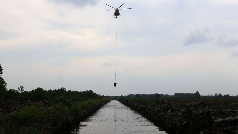 Perjuangan Petugas Memadamkan Kebakaran Lahan Gambut di Dumai - Bagian 2