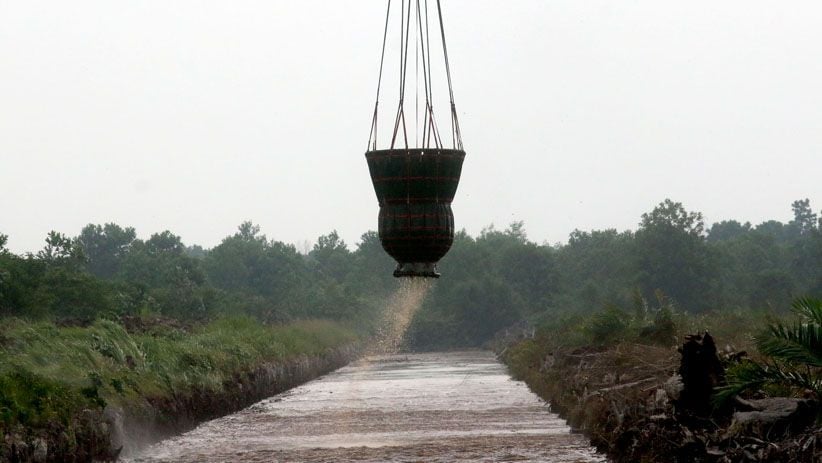 Perjuangan Petugas Memadamkan Kebakaran Lahan Gambut di Dumai - Bagian 4