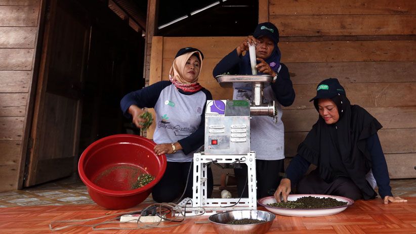 Perempuan-Perempuan Ini Budidaya Lele di Kolam Ikan Biofoloc - Bagian 5