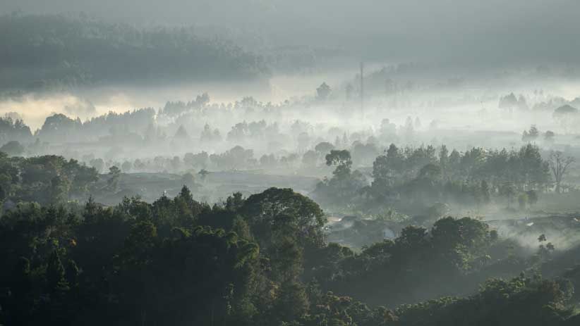 Suhu di Bandung Capai 16 Derajat Celcius, Begini Suasananya - Bagian 2