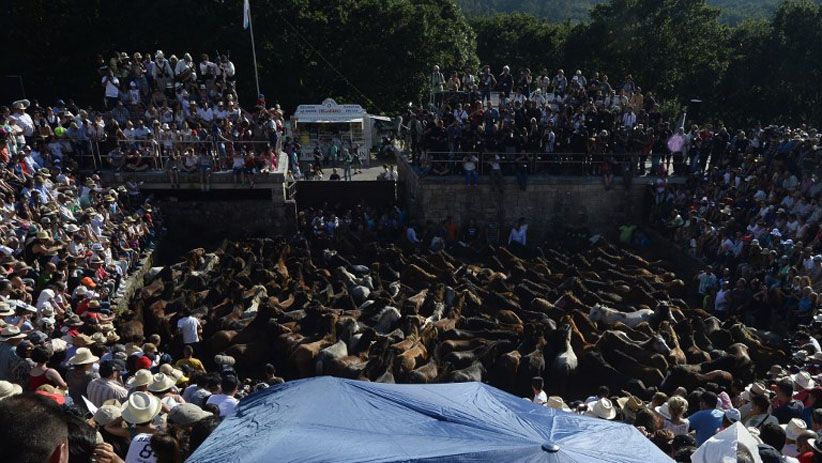 Pria-Pria Ini Menjinakkan Kuda Liar dengan Tangan Kosong - Bagian 3