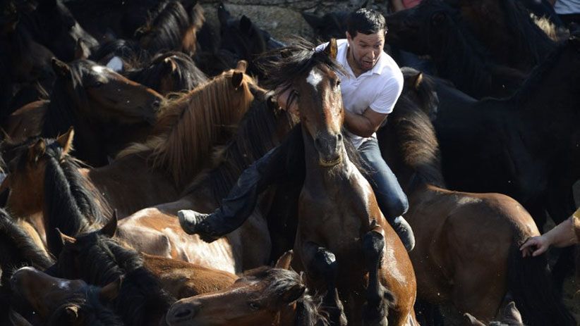 Pria-Pria Ini Menjinakkan Kuda Liar dengan Tangan Kosong - Bagian 5