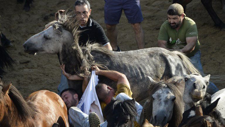 Pria-Pria Ini Menjinakkan Kuda Liar dengan Tangan Kosong - Bagian 2