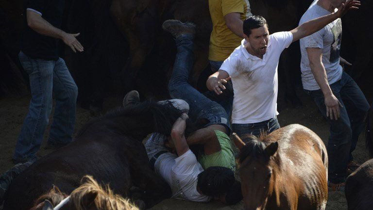 Pria-Pria Ini Menjinakkan Kuda Liar dengan Tangan Kosong - Bagian 4