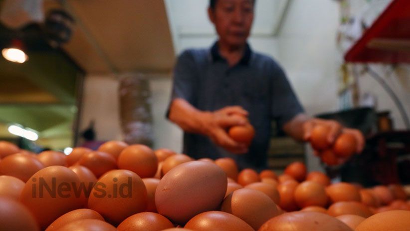 Harga Telur Ayam Tembus Rp30.000 per Kilogram - Bagian 4