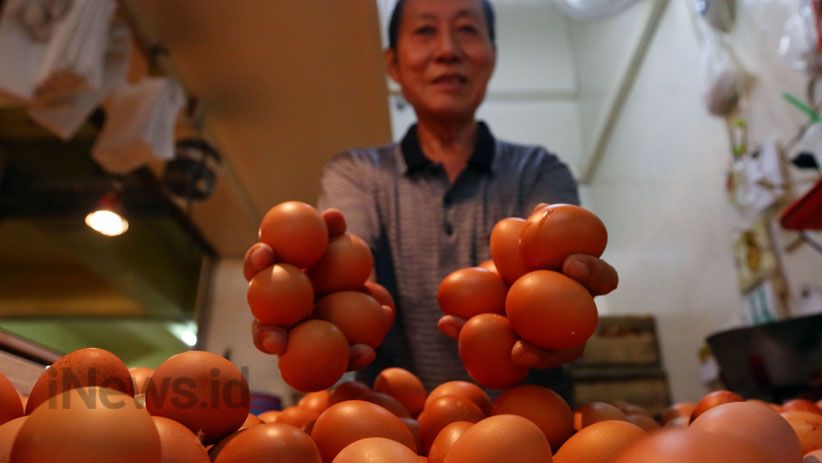 Harga Telur Ayam Tembus Rp30.000 per Kilogram - Bagian 3