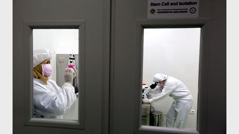Pemerintah Anggarkan Rp9,3 Miliar untuk Kembangkan Stem Cell - Bagian 1