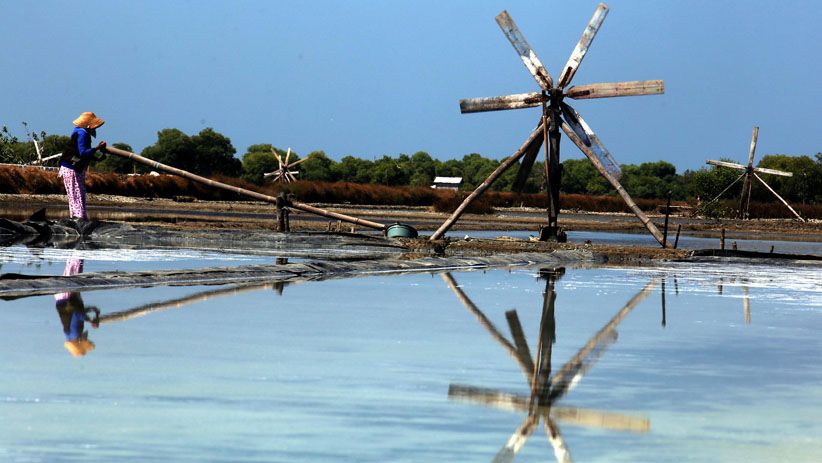 Terpengaruh Impor, Petani Keluhkan Harga Garam Turun Tajam  - Bagian 2