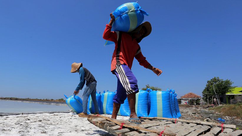 Terpengaruh Impor, Petani Keluhkan Harga Garam Turun Tajam  - Bagian 10